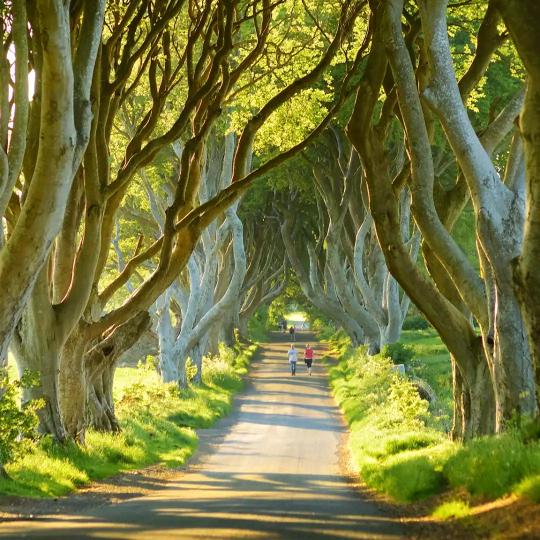 入眼是风景，入心是人生