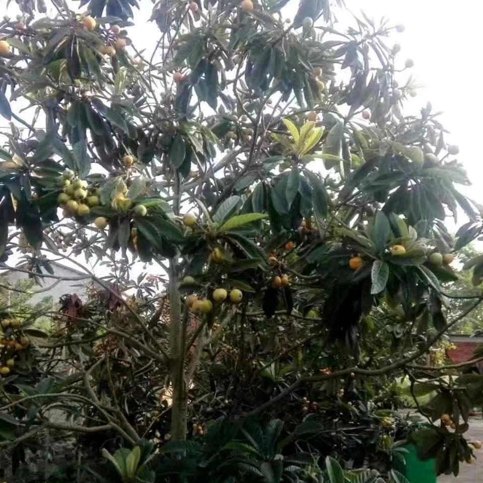 用户3310140240284阳光