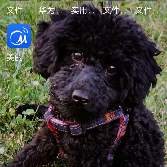 用户4671374428829