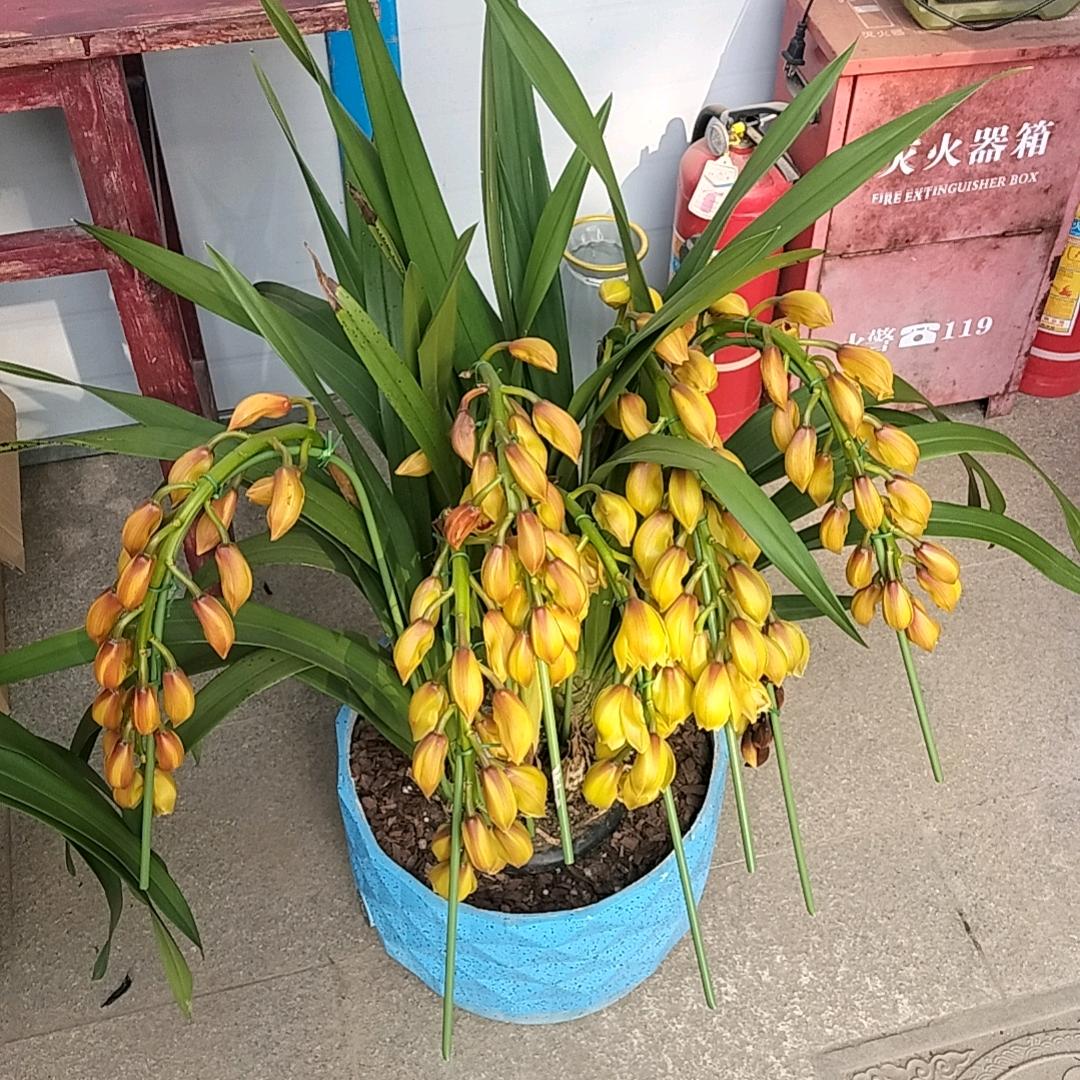 静下心来。