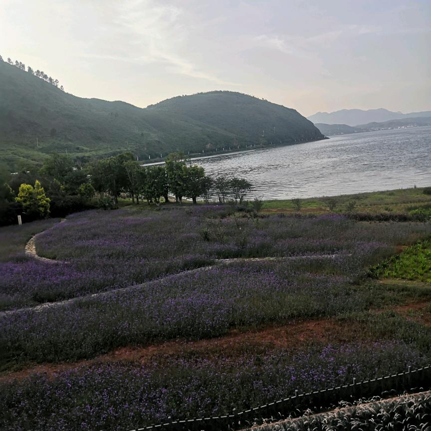 莫名