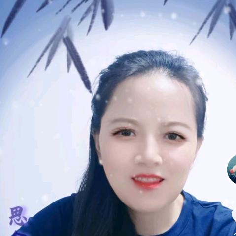 M.Z  张