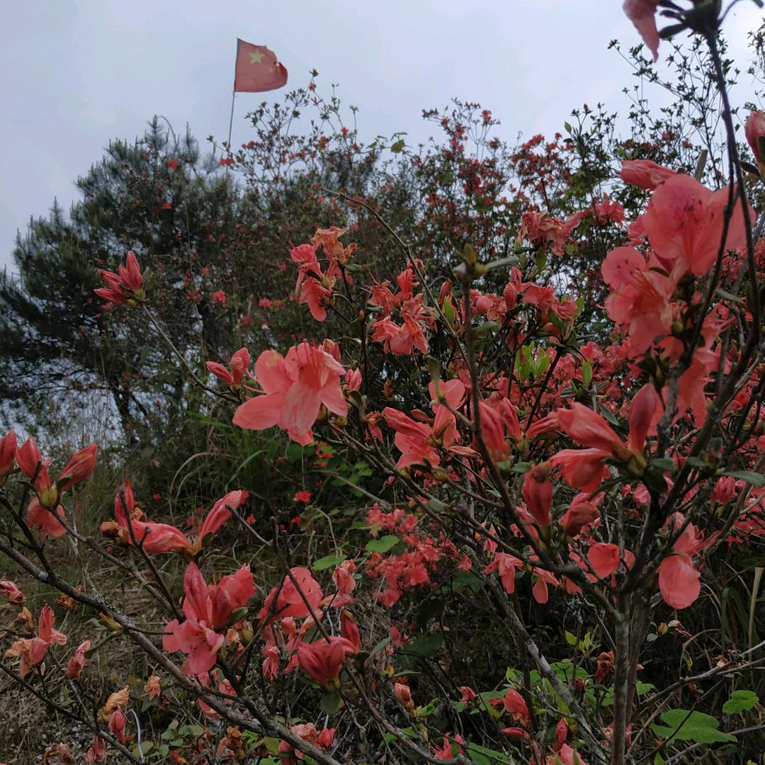 签收幸福