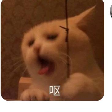 燕儿笑春风