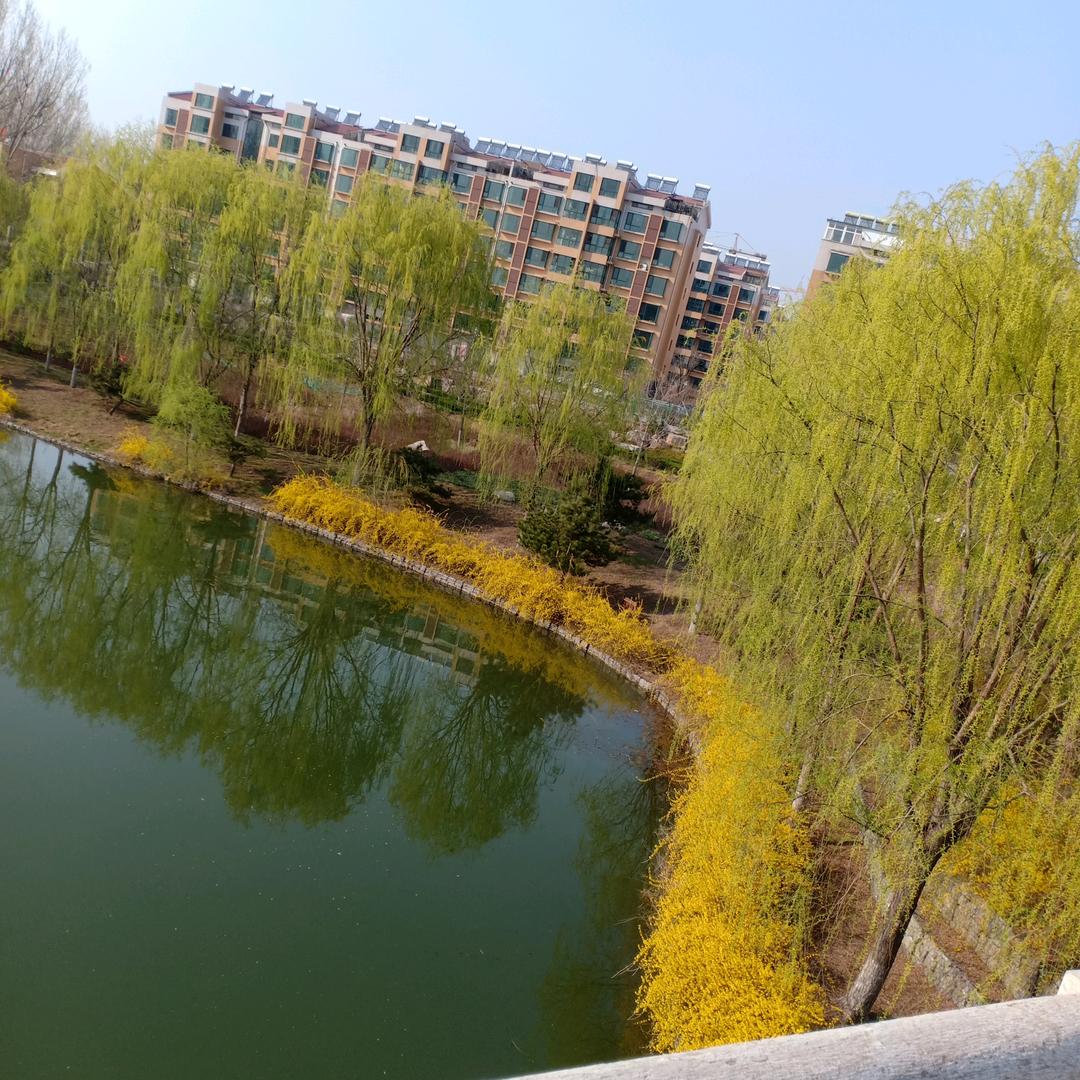 香叶牵手