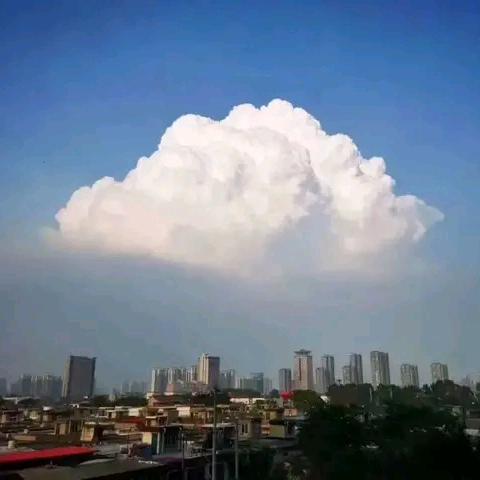 ୧⍤⃝🏍Turn the page