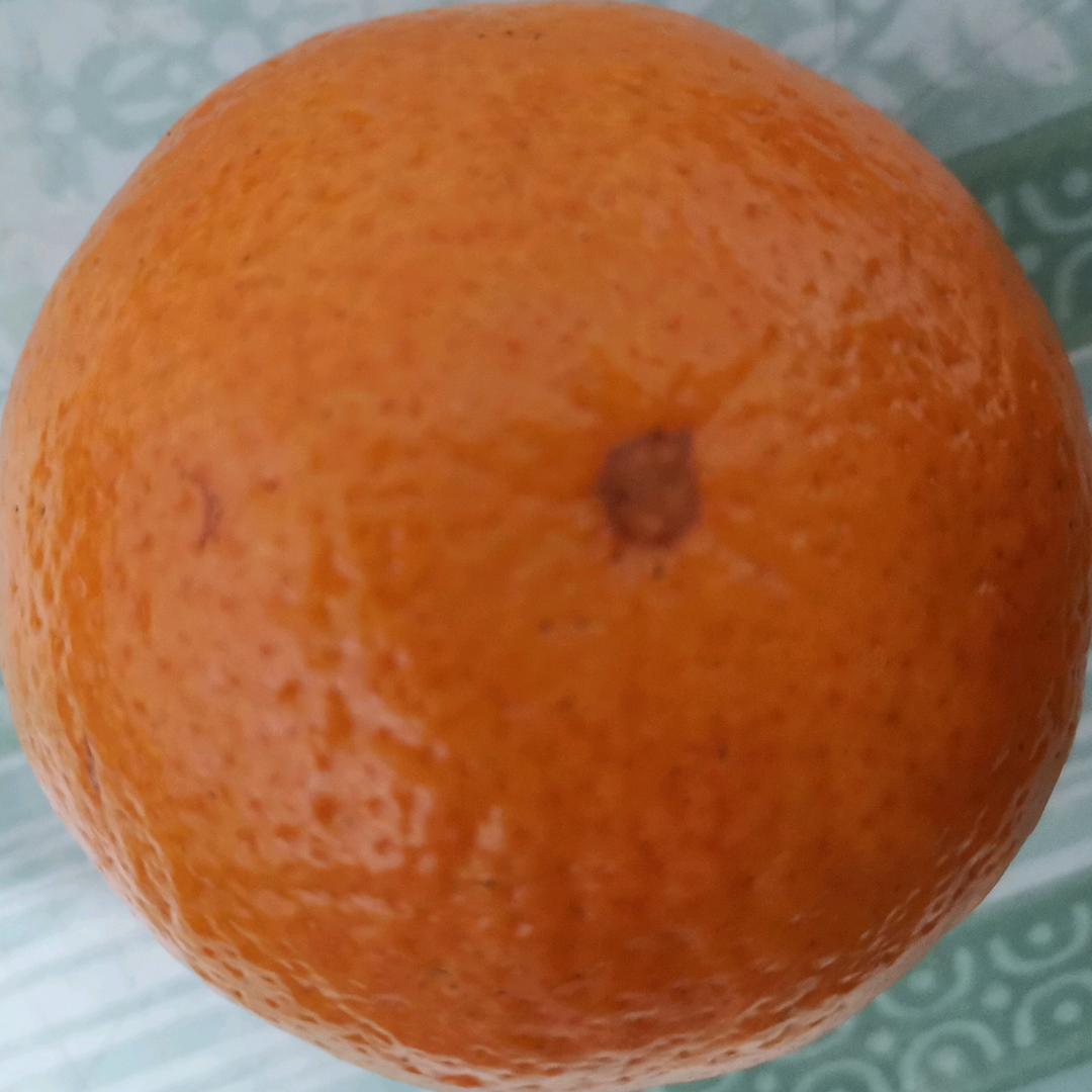 阖家欢乐