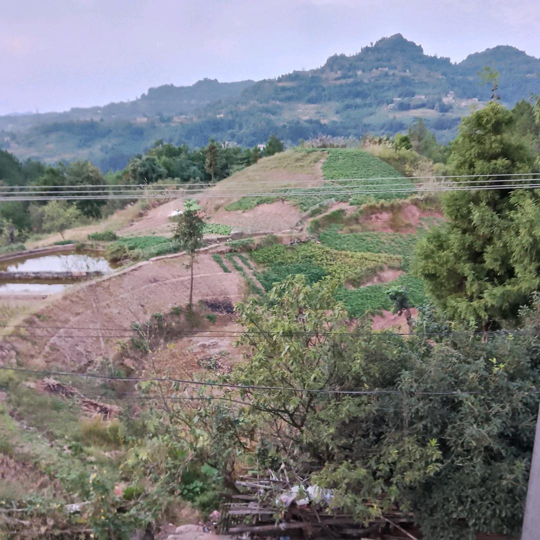 守望相助，洪秀