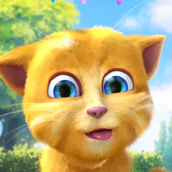 猫小子
