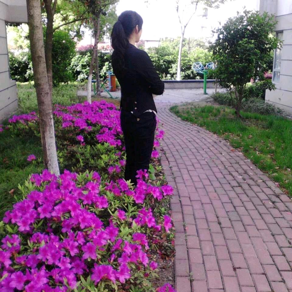 枝旪上的蜻蜓
