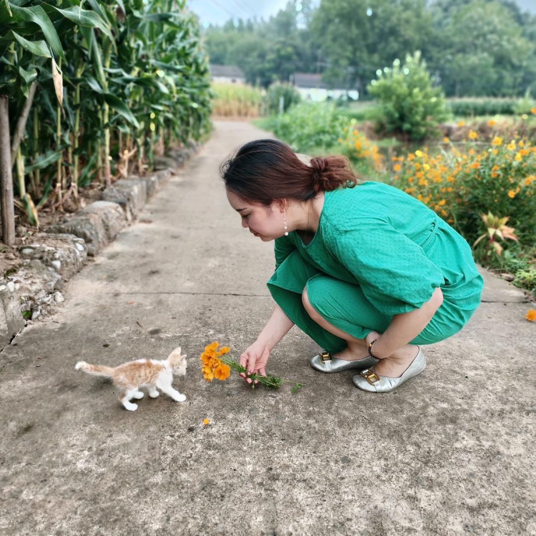李家菇凉