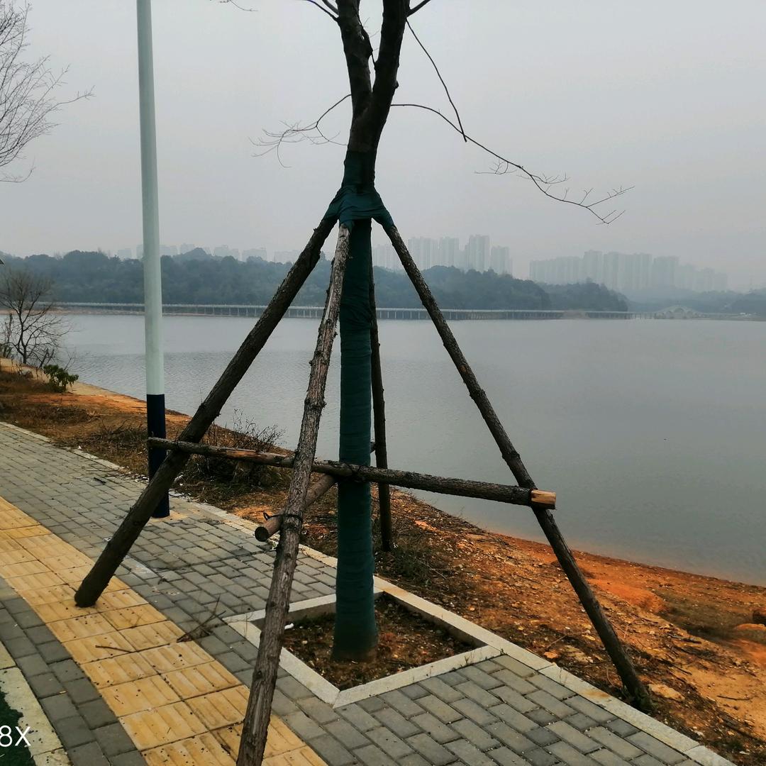 未来可期