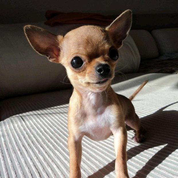 代驾麻辣哥（关注必回关）