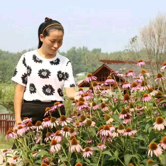 王淑君理发光脸（萤火虫）