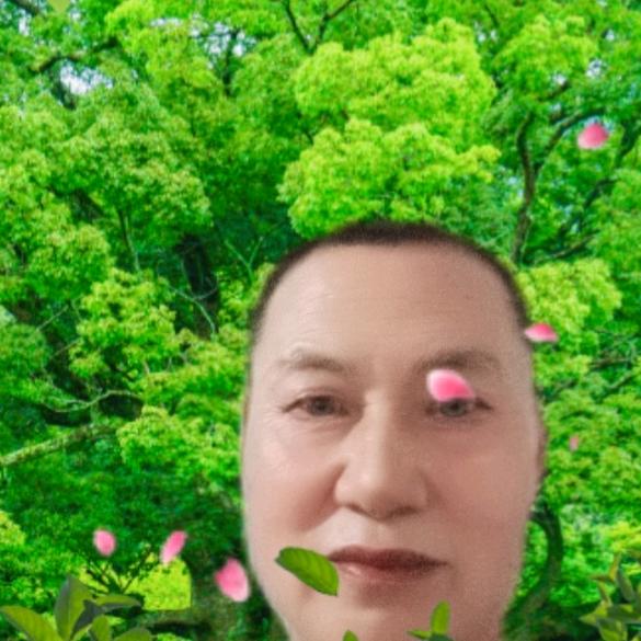 晨帅