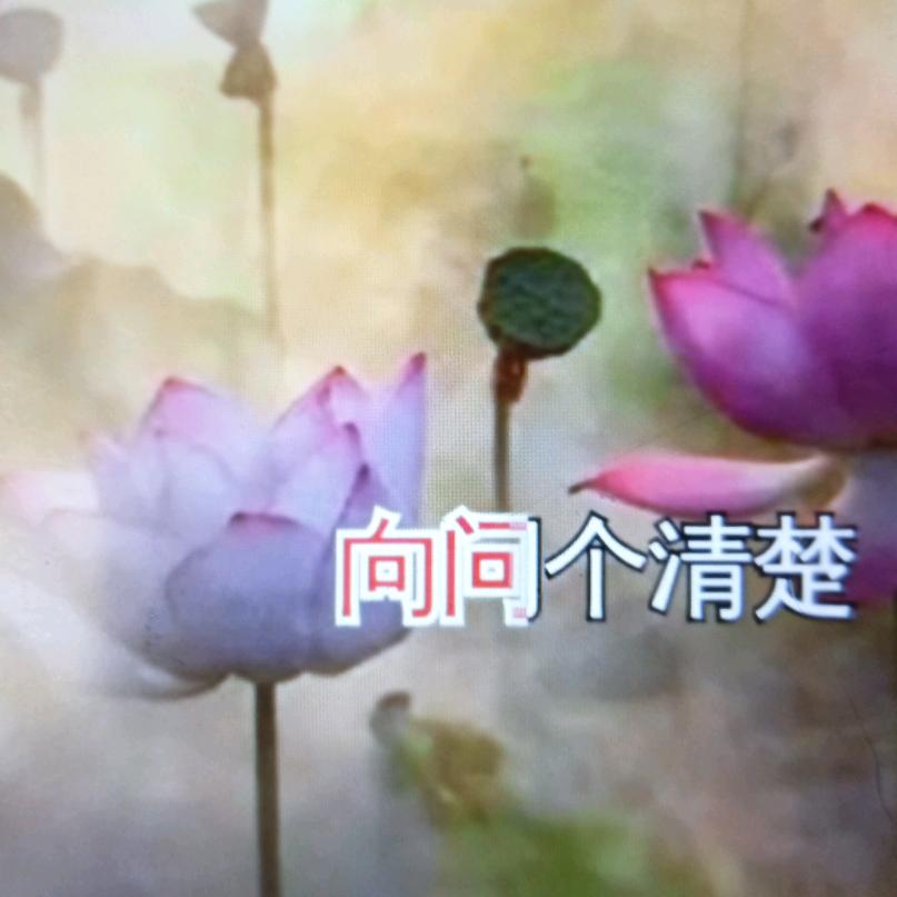 @农村独銹@