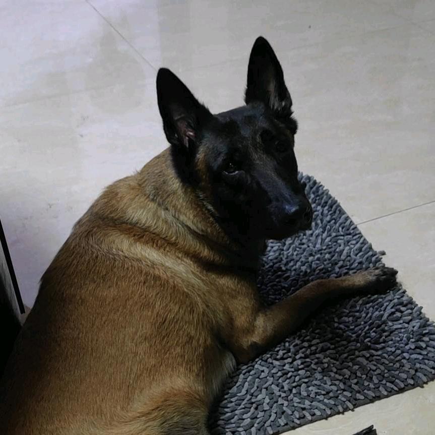 ⭐️🇨🇳海风🚴🏻⭐️