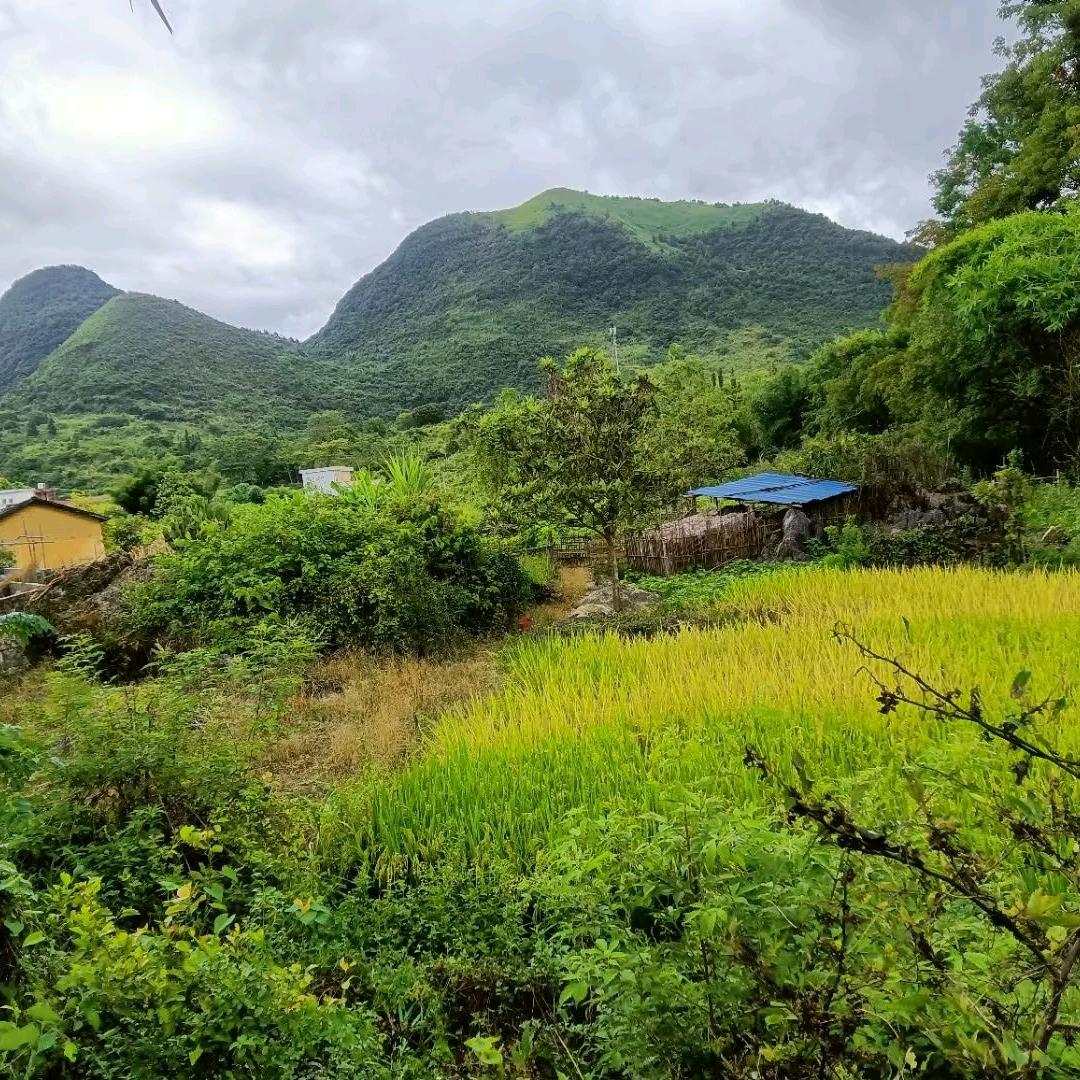 李华