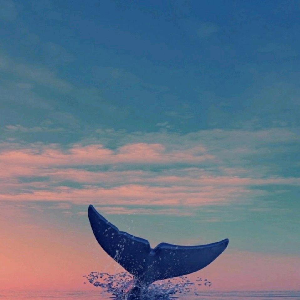 清风