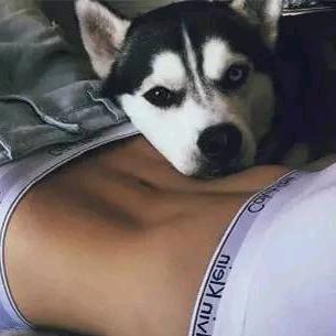 一手烂牌打成顺