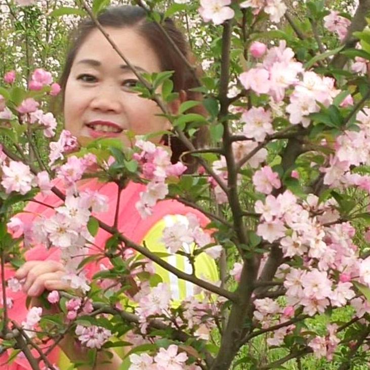 胡姐