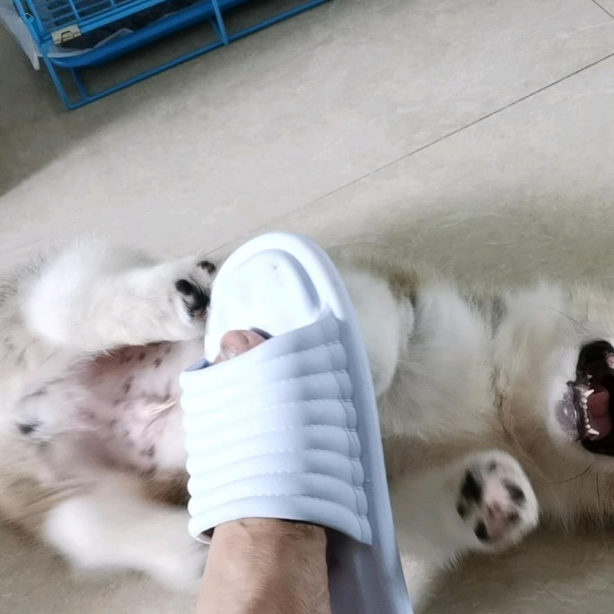 胡