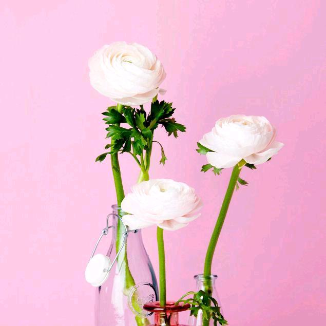 踏雪无痕一水上