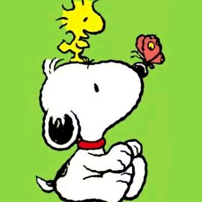 🇨🇳@仁明伟业(北京)