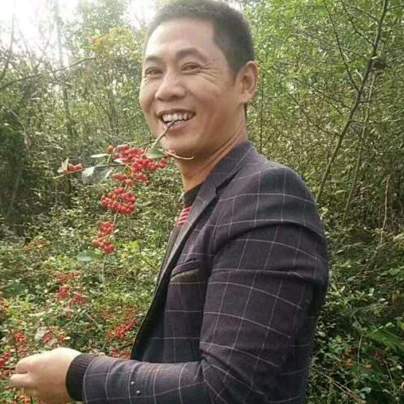 小依哥