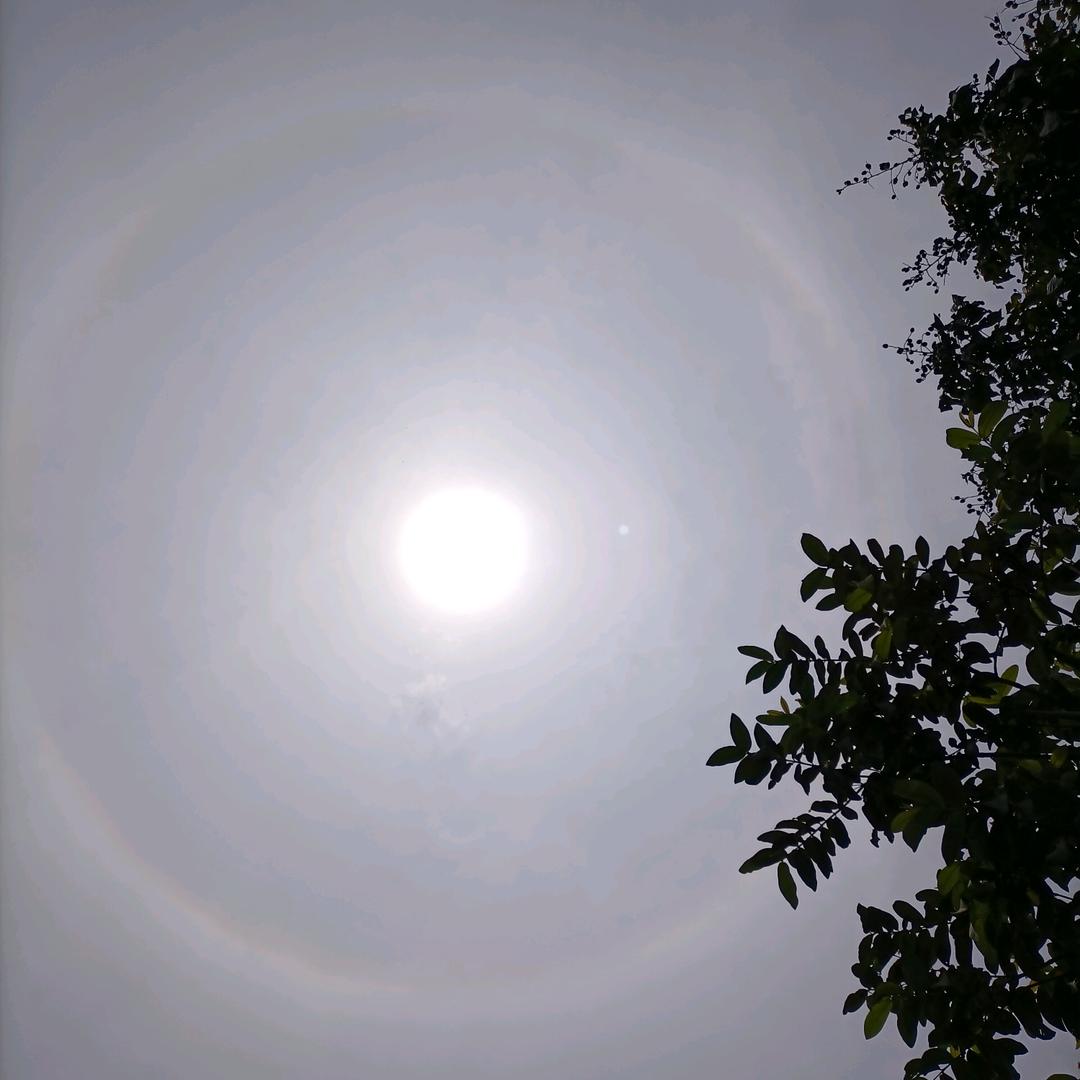 健健康康就是福