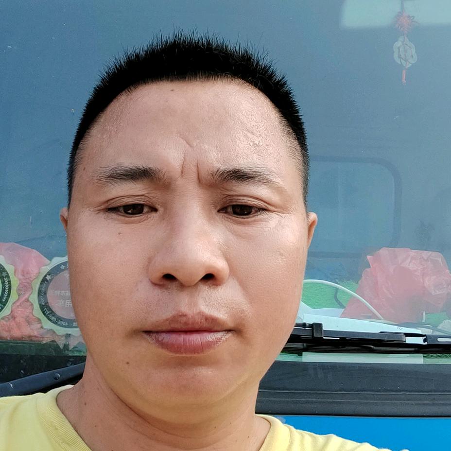 饲料运输杨建分