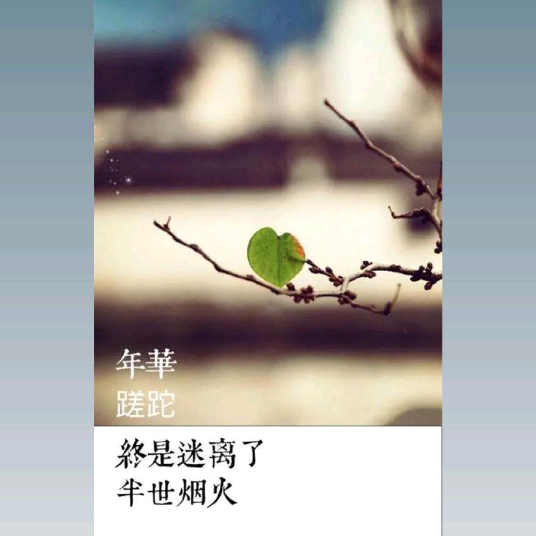 满是心酸、皆是遗憾
