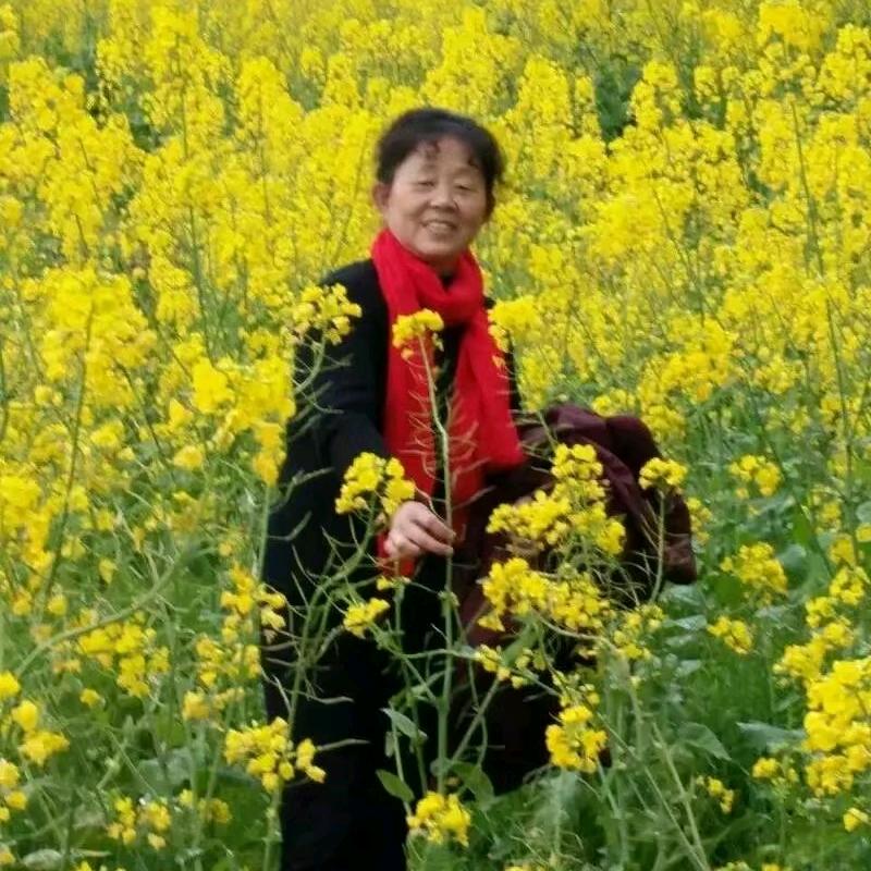赵玉珍