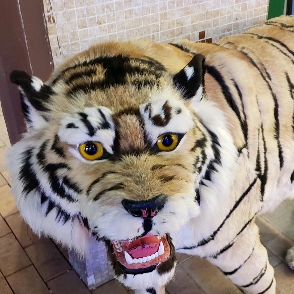 熊猫面团