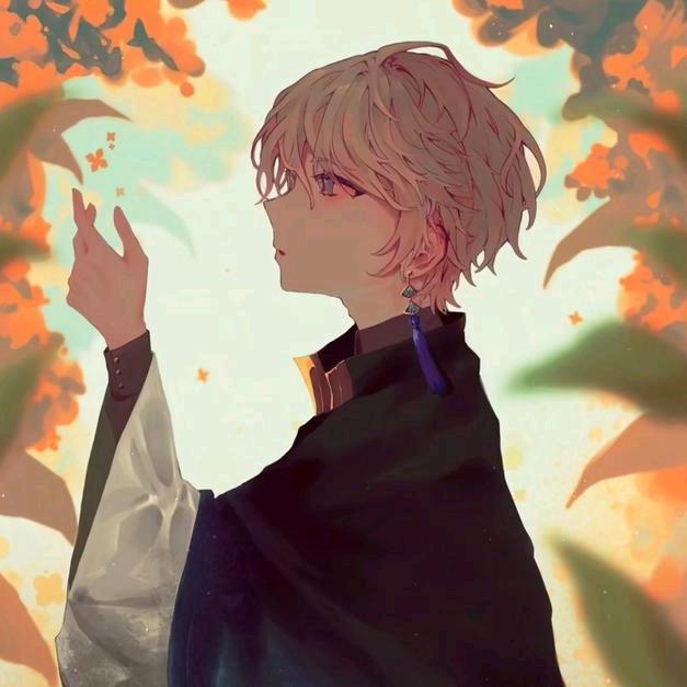 橙卡子