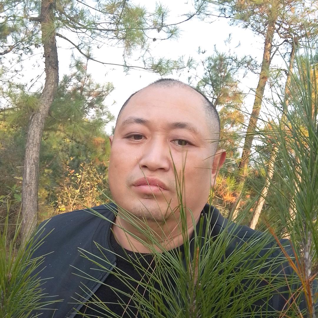老四