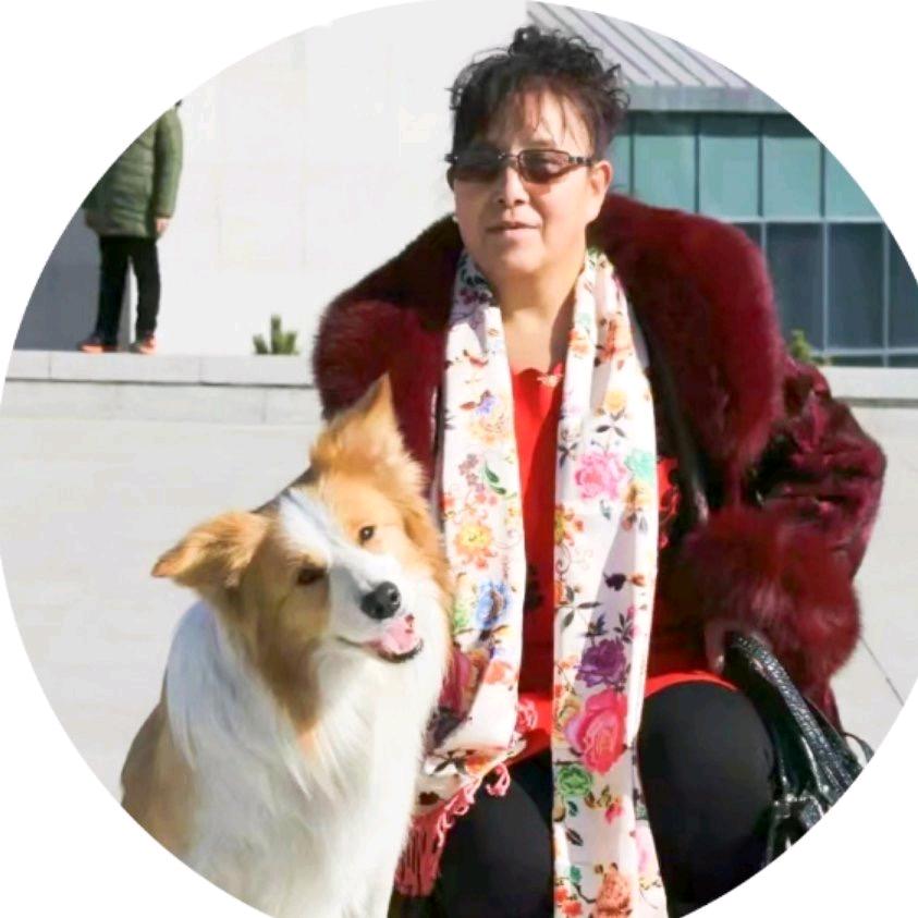 婉菊