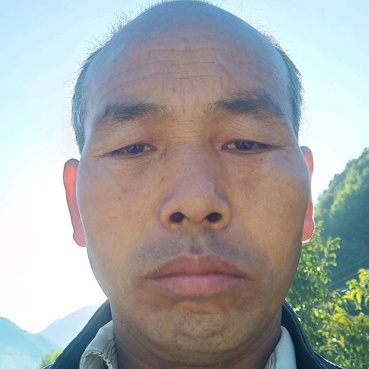 罗双朝