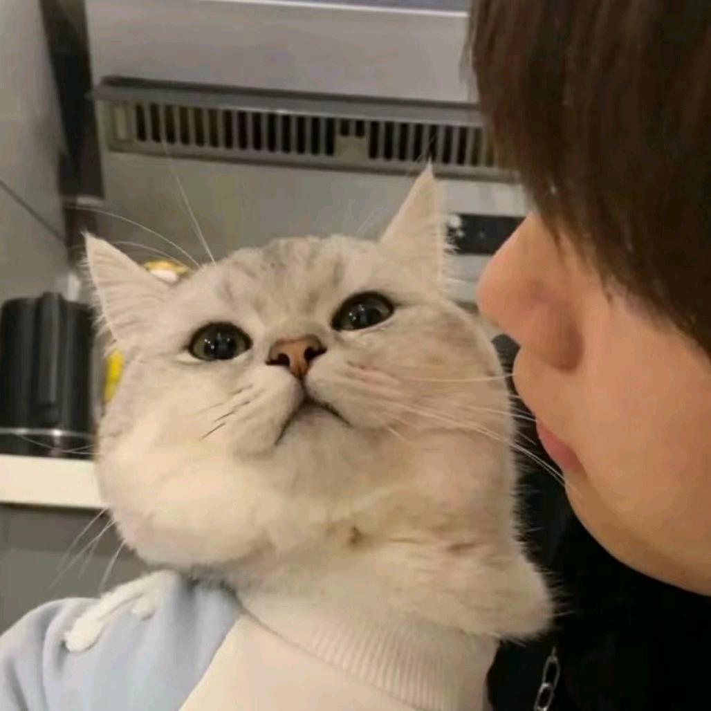 秋蚕稚