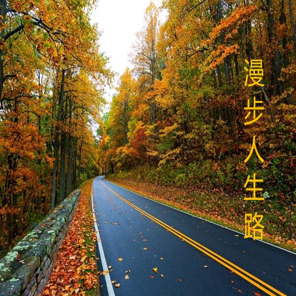 滁州鑫耀再生资源回收