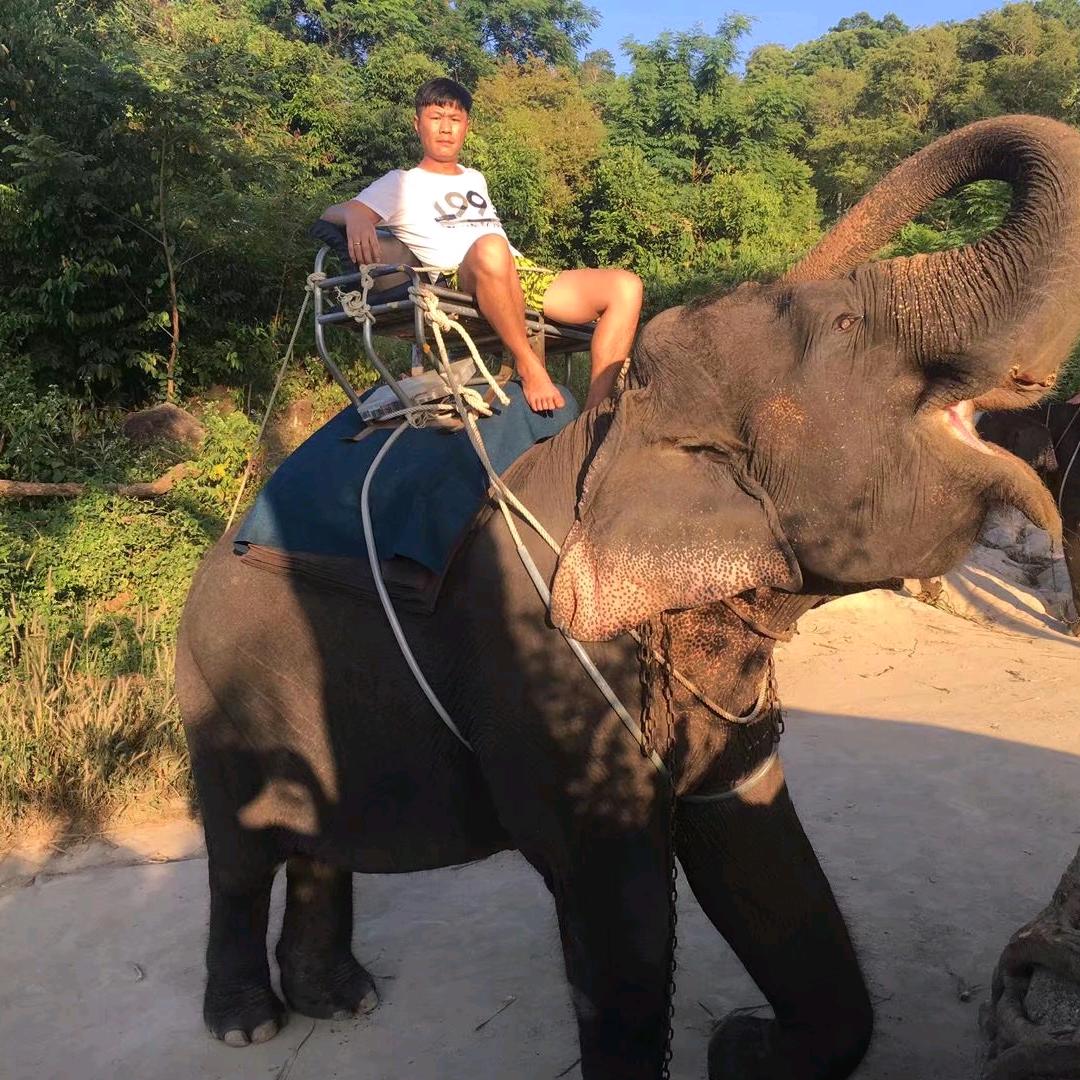 杨飞 泰国🇹🇭KSL糖浆