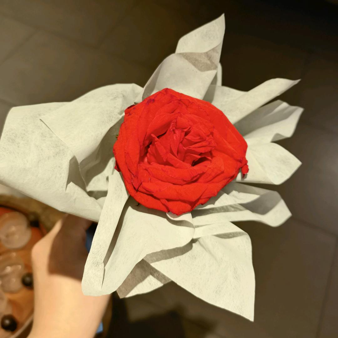 花开🌹🌹🌹🌹