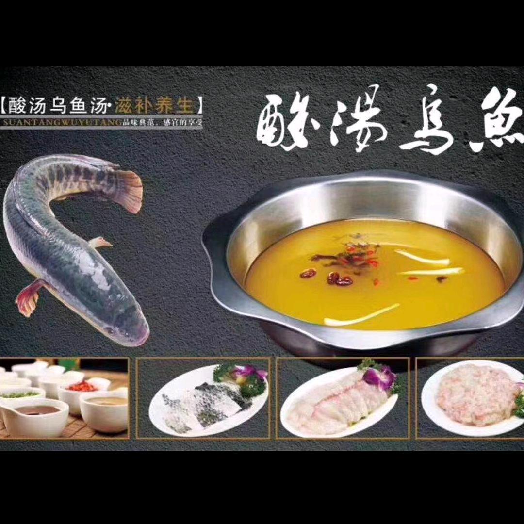 长寿🔥古镇🔥养身酸汤乌鱼