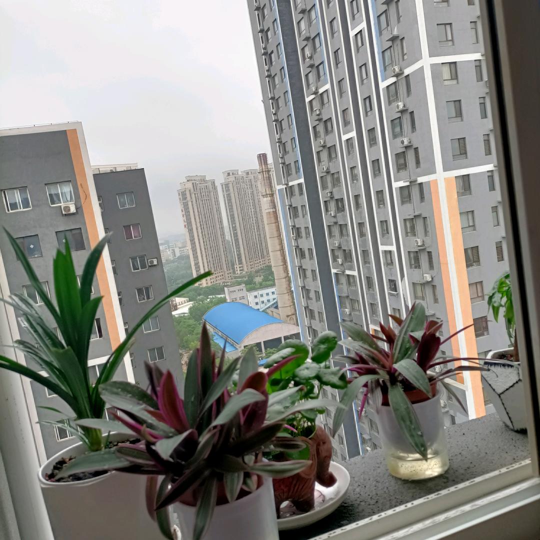 佛为心