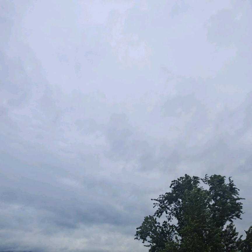 梅花哥哥