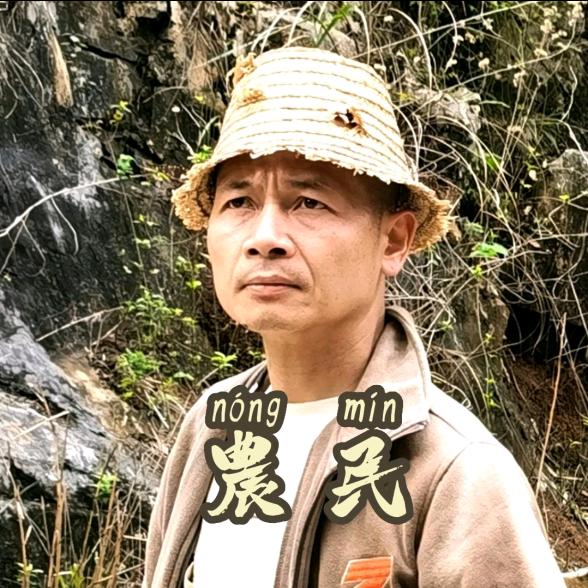 哈伟呀「平果缘」
