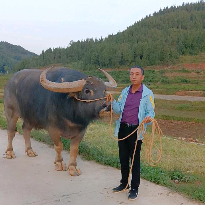永山传媒