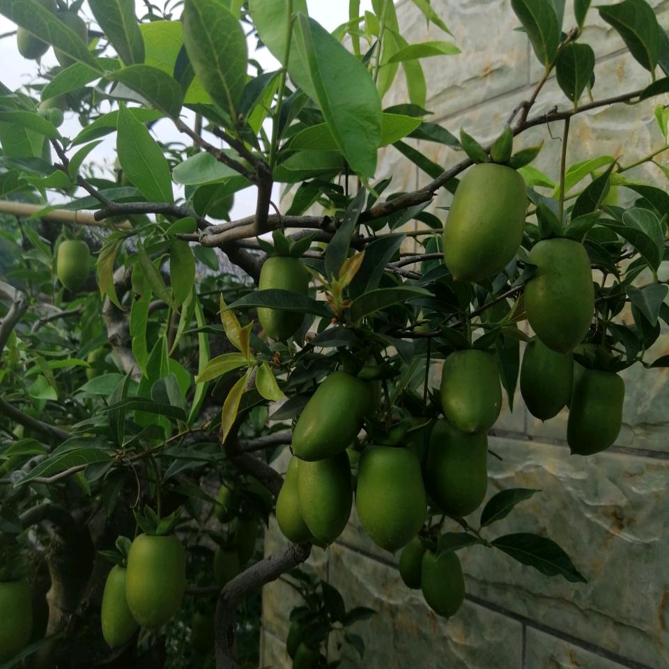 人生的悲欢离合。