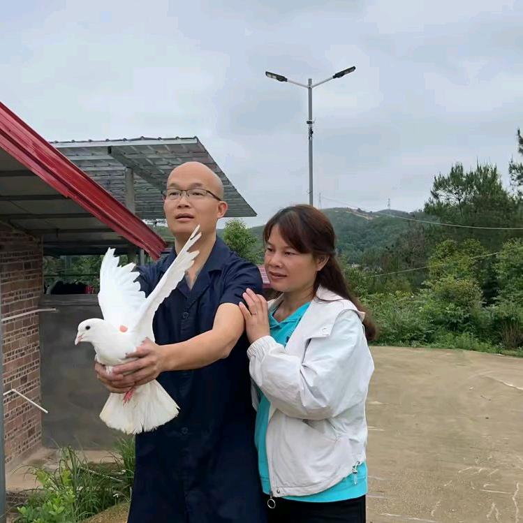 光头英子
