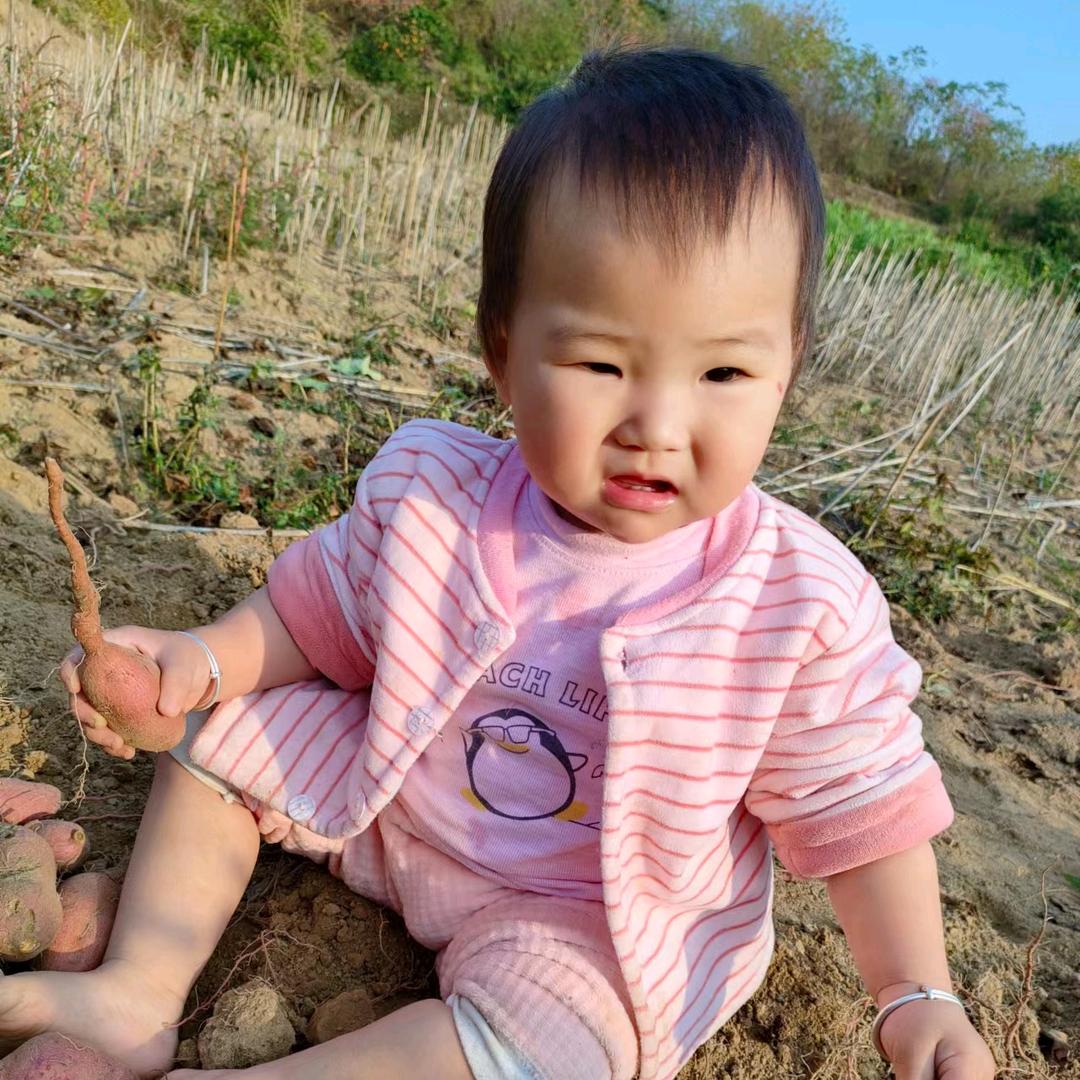 怀瑾握瑜